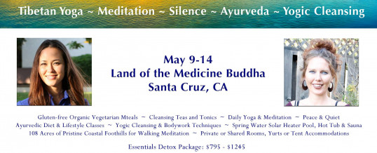 Panchakarma Retreat in Santa Cruz, California